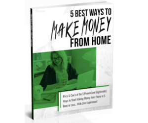 Make Money From Home book